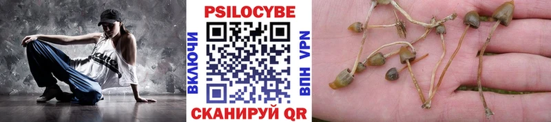 Псилоцибиновые грибы MAGIC MUSHROOMS Дно
